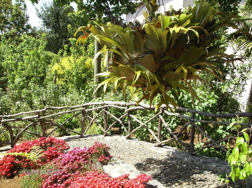 Casa Rosa Villa Camacha  Phòng bức ảnh